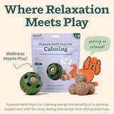 Woof Pupsicle Refill Pops Calming Treats - Long-Lasting Refills For The Pupsicle Toy
