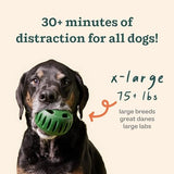 Woof The Pupsicle X-Large Pack Of 1 Dog
