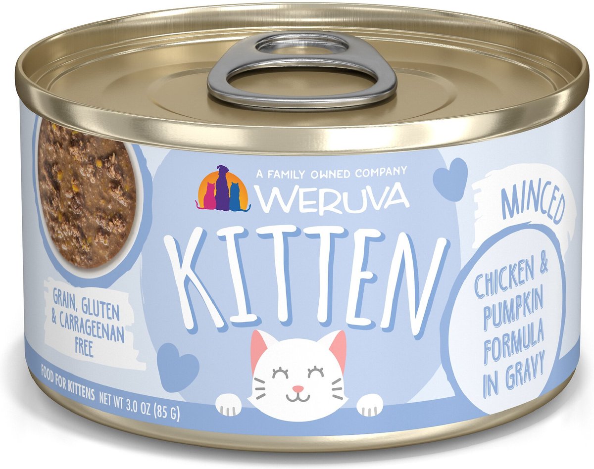 Weruva Chicken & Pumpkin in Gravy Wet Kitten Food, 3 oz.