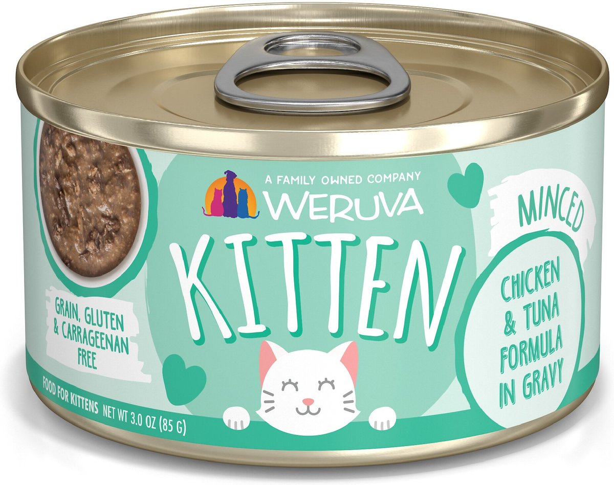 Weruva Chicken & Tuna in Gravy Wet Kitten Food, 3 oz.