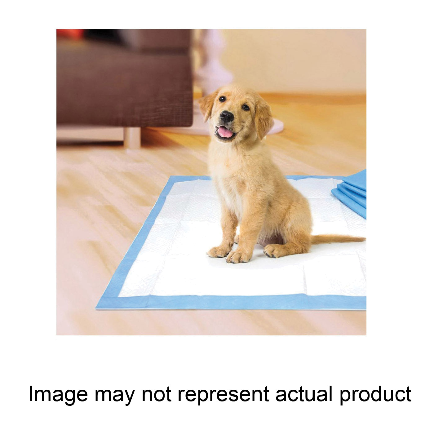 Four Paws Wee-Wee Dog Pee Pads, 22 x 23 in. (50 Count)