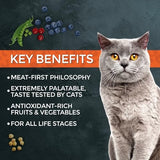 Fussie Cat Market Fresh Turkey Recipe Grain-Free Dry Cat Food, 10 lbs.