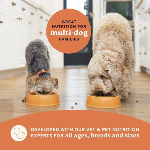 Canidae All Life Stages Salmon & Ancient Grains Dry Dog Food, 27 lbs.