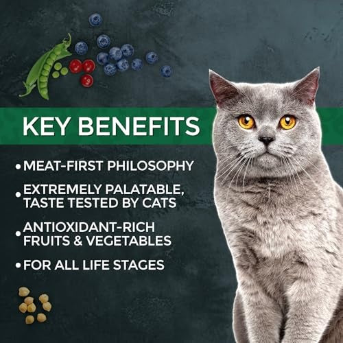 Fussie Cat Market Fresh Salmon & Chicken Recipe Grain-Free Dry Cat Food, 10 lbs.