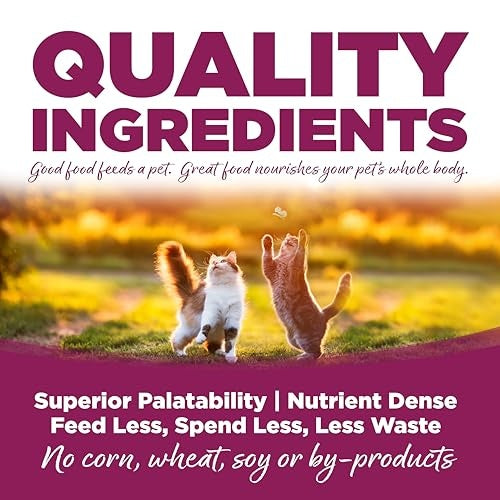 NutriSource Cat & Kitten Chicken & Rice Recipe Dry Cat Food — 12 lbs