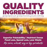 NutriSource Cat & Kitten Chicken & Rice Recipe Dry Cat Food — 12 lbs