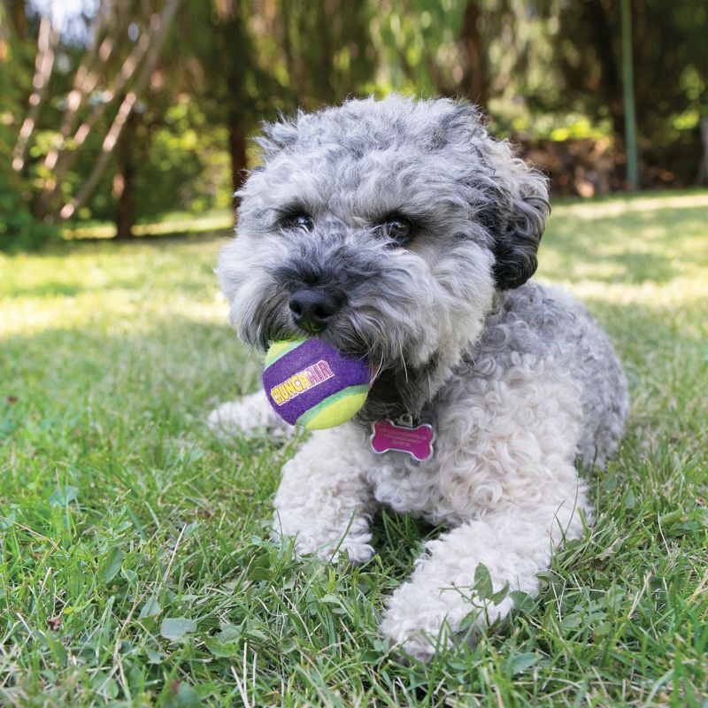 The Kong Company Kong Crunchair Medium Ball Dog Toy