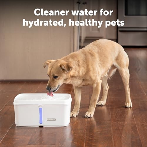 PetSafe Viva Pet Water Fountain, 140 oz.