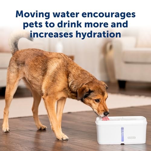 PetSafe Viva Pet Water Fountain, 140 oz.