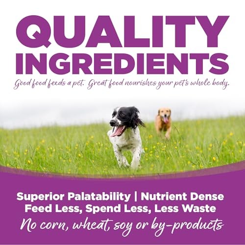 NutriSource Large Breed Chicken & Rice Formula Dry Puppy Food