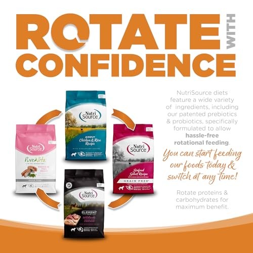 NutriSource Lamb Meal & Rice Recipe with Wholesome Grains Dry Dog Food, 12 lbs.