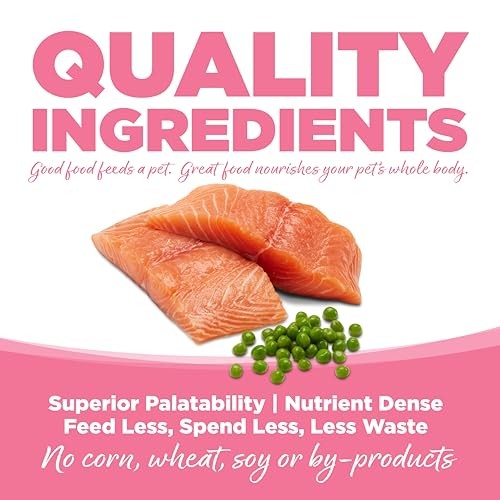 PureVita Grain-Free Salmon & Peas Entrée Dry Cat Food — 12 lbs