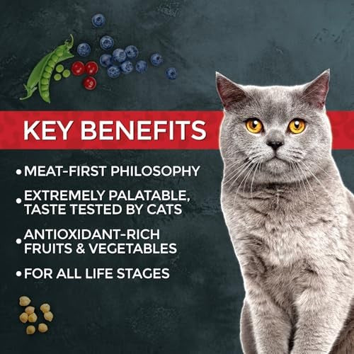 Fussie Cat Market Fresh Chicken & Turkey Recipe Grain-Free Dry Cat Food, 10 lbs.