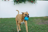 Jolly Pets Jolly Soccer Ball Ocean Blue Dog Toy, 4 in.