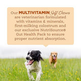 Nutri Source Amplifull Multi Vitamin Dog Soft Chew, 12.5 oz, Pack Of 1