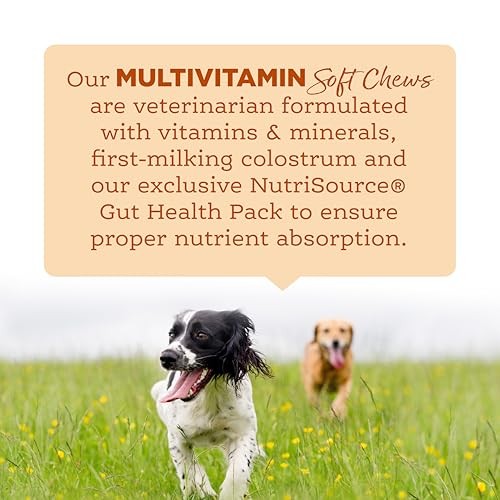 Nutri Source Amplifull Multi Vitamin Dog Soft Chew, 12.5 oz, Pack Of 1