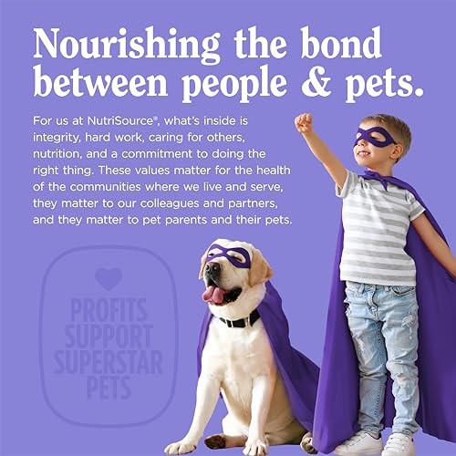 Nutri Source Amplifull Multi Vitamin Dog Soft Chew, 12.5 oz, Pack Of 1