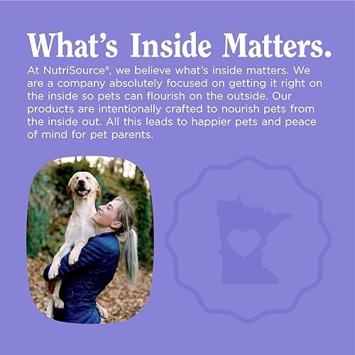 Nutri Source Amplifull Multi Vitamin Dog Soft Chew, 12.5 oz, Pack Of 1