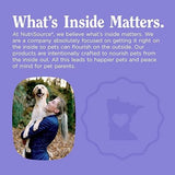 Nutri Source Amplifull Skin & Coat Dog Soft Chew Supplement 12.5 oz