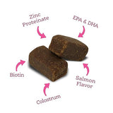 Nutri Source Amplifull Skin & Coat Dog Soft Chew Supplement 12.5 oz