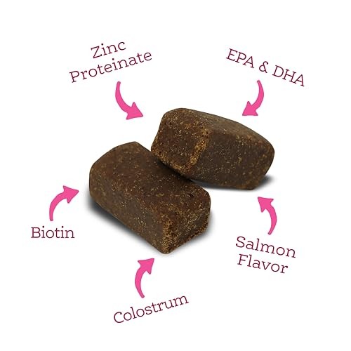 Nutri Source Amplifull Skin & Coat Dog Soft Chew Supplement 12.5 oz