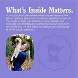 Nutri Source Amplifull Calming Dog Soft Chew Supplement 12.5 oz