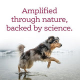 NutriSource AmpliFull Immunity, Skin, Coat & Nails Dog Gummy Supplement, 11 oz.