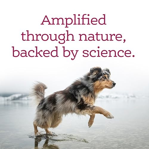 NutriSource AmpliFull Immunity, Skin, Coat & Nails Dog Gummy Supplement, 11 oz.
