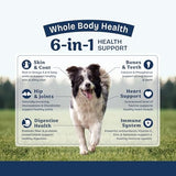 Natural Balance Whole Body Health Easy Digestion Chicken, Brown Rice & Pumpkin Dry Dog Food, 4 lbs.