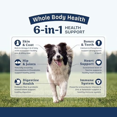 Natural Balance Whole Body Health Easy Digestion Chicken, Brown Rice & Pumpkin Dry Dog Food, 24 lbs.