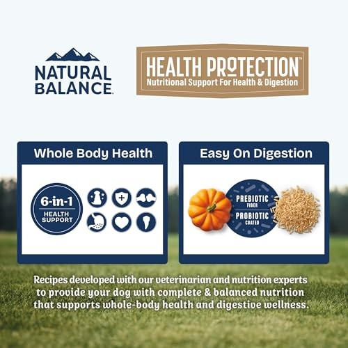 Natural Balance Whole Body Health Easy Digestion Salmon, Brown Rice & Pumpkin Dry Dog Food, 4 lbs.