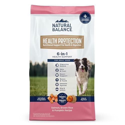 Natural Balance Whole Body Health Easy Digestion Salmon, Brown Rice & Pumpkin Dry Dog Food, 22 lbs.