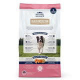 Natural Balance Whole Body Health Easy Digestion Salmon, Brown Rice & Pumpkin Dry Dog Food, 22 lbs.