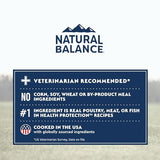 Natural Balance Whole Body Health Easy Digestion Lamb, Brown Rice & Pumpkin Dry Dog Food, 24 lbs.