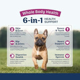 Natural Balance Whole Body Health Easy Digestion Chicken, Brown Rice & Pumpkin Small Breed Dry Dog Food, 4 lbs.