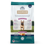Natural Balance Whole Body Health Easy Digestion Chicken, Brown Rice & Pumpkin Small Breed Dry Dog Food, 12 lbs.