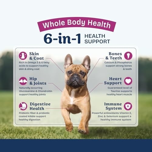 Natural Balance Whole Body Health Easy Digestion Chicken, Brown Rice & Pumpkin Small Breed Dry Dog Food, 12 lbs.