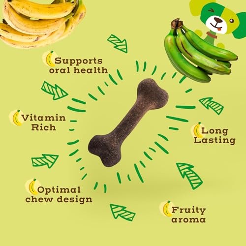 Jack & Pup Pawtains Real Plantain Dog Treats, Small (12 Count)