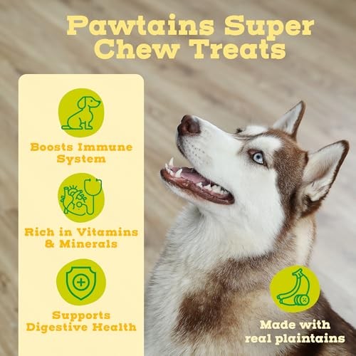 Jack & Pup Pawtains Real Plantain Dog Treats, Small (12 Count)