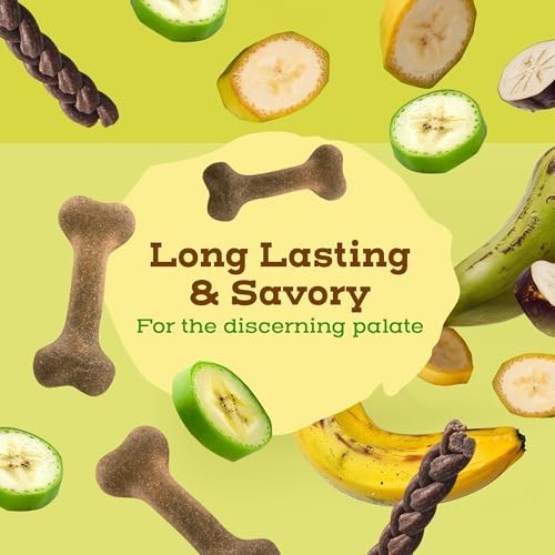 Jack & Pup Pawtains Real Plantain Dog Treats, Small (12 Count)
