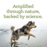 NutriSource AmpliFull Immunity & Skin Dog Gummy Supplement, 11 oz.