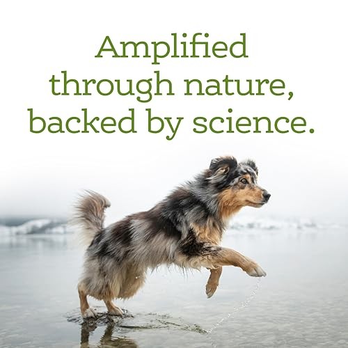 NutriSource AmpliFull Immunity & Skin Dog Gummy Supplement, 11 oz.