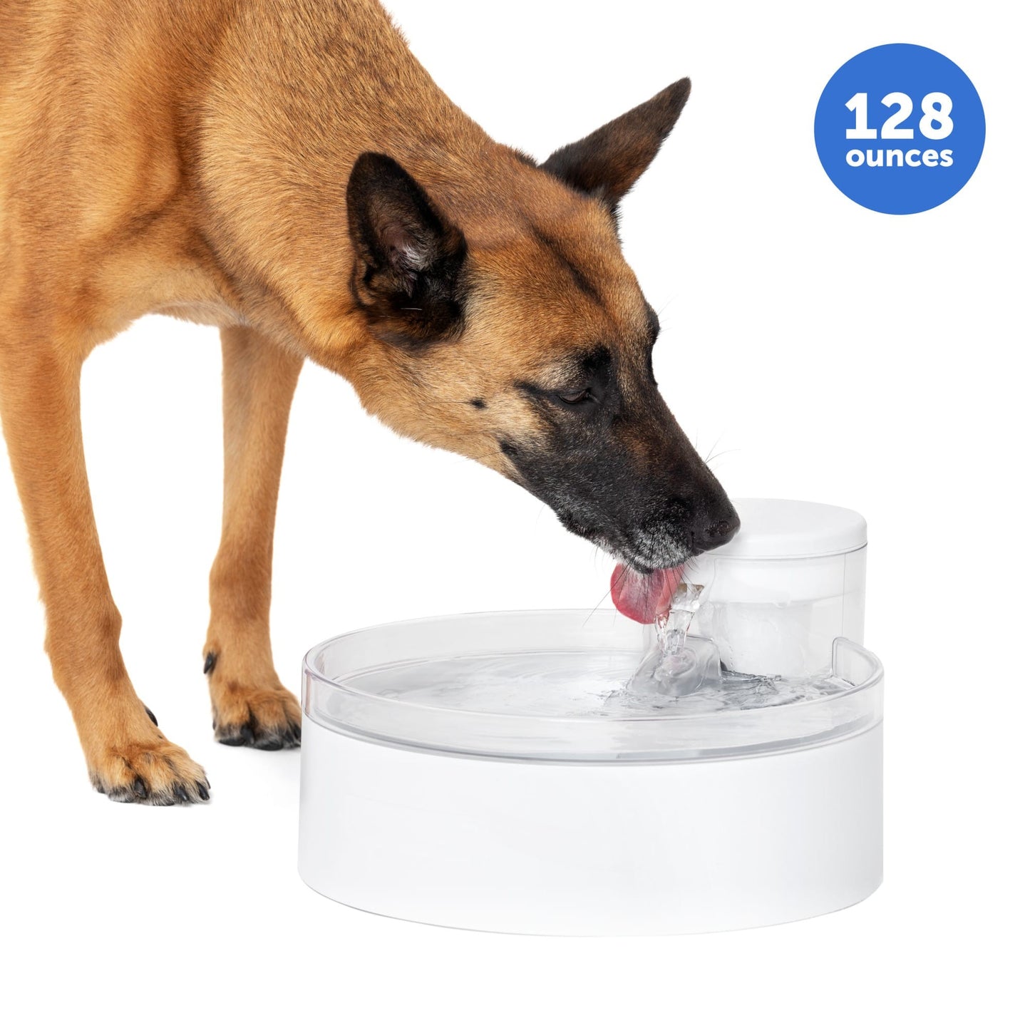 PetSafe Outlast Pumpless Dog Water Fountain, 128 oz.