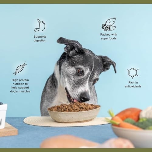 Badlands Ranch Superfood Complete Pack Of 1 Wild Fish Dog 24 oz