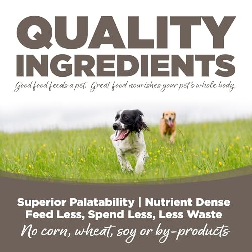 NutriSource Senior Chicken & Rice Recipe Dry Dog Food 12lb