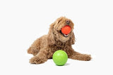 Jolly Pets Jolly Soccer Ball Ocean Blue Dog Toy, 3 in.