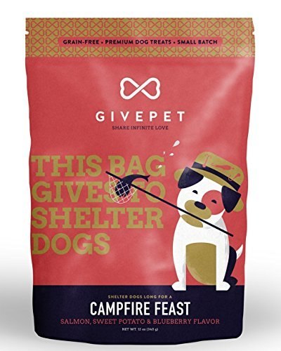 GivePet Campfire Feast Baked Biscuit Dog Treats, 12 oz.