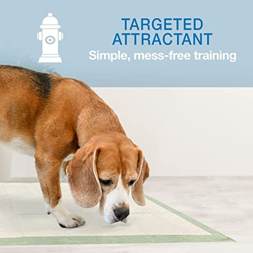 Four Paws Wee-Wee Superior Performance Eco Bamboo Dog Pee Pads, 22 x 23 in. (50 Count)