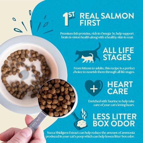 Earthborn Holistic Wild Sea Catch Grain-Free Dry Cat Food, 4 lbs.