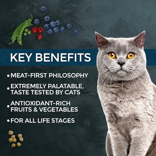 Fussie Cat Market Fresh Salmon Recipe Grain-Free Dry Cat Food, 10 lbs.